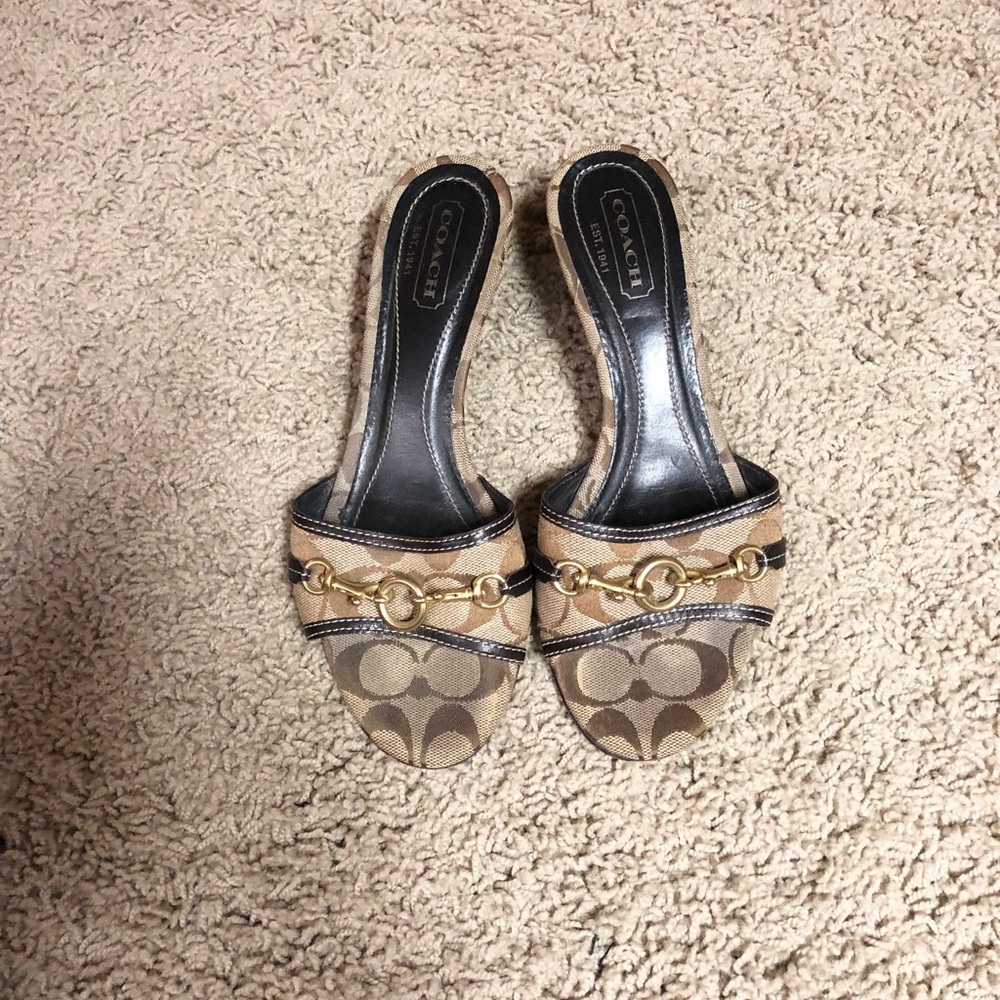 Authentic Coach Mini Heals
